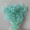Proveedor de Flores Fábrica de Yunnan Flores para Boda 50g Gypsophila Million Star Ramo de Flores Secas Venta al por Mayor Arte de Flores Eternas