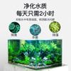 Lámpara germicida UV para acuarios, purificador de agua UV para estanques de peces, eliminación de algas, lámpara de esterilización para buceo, lámpara de esterilización para acuarios, lámpara germicida para acuarios.
