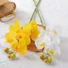 Flores Artificiais Phalaenopsis de Alta Qualidade com Toque Real Conjunto de Flores Artificiais Decoração para Hotel Quarto Decoração com Flores Ornamentos Flores Secas