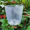 Taza de Nutrición Taza para Plántulas Cultivo de Flores y Taza para Trasplante de Plántulas Cultivo de Orquídeas Maceta Transparente Naranja Ombligo Engrosada