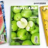 Coleção de cadernos A4 finos e crocantes, caderno pautado, design de alta qualidade, adequado para estudantes se preparando para exames de ingresso à pós-graduação, extra-grossos, com múltiplas colunas, para rascunho e prática, para exportação