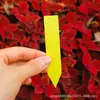Etiqueta de Flor de Forma Recta de PVC Etiqueta de Jardinería Impermeable de Plástico Identificación de Plantas Suculentas Pequeño Cartel de Suelo
