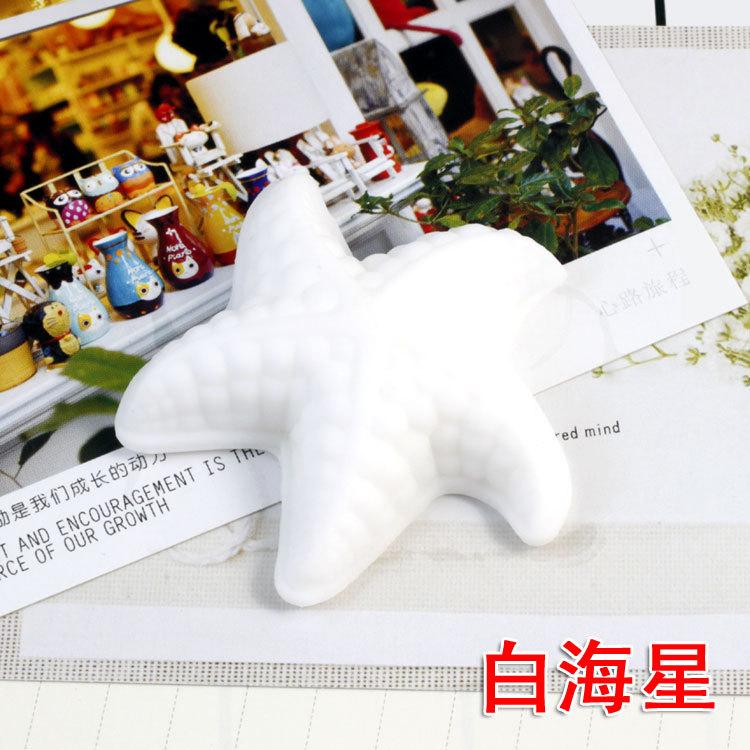 白海星.jpg