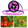 Lâmpada de Crescimento de Plantas USB 5V com LED 2835 de Espectro Completo à Prova d'Água Luz de Preenchimento para Vegetais, Flores, Suculentas Quente Transfronteiriço