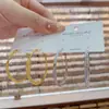 Pendientes de Aro Metálicos Versátiles y de Moda Estilo Coreano para Mujer, Pendientes de Aguja de Plata para Viajeros de Celebridades de Internet de Nicho con un Toque de Lujo