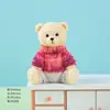 Suéter de Osito de Peluche Lindo Figura de Resina Decoración para el Hogar, Oficina, Coche Juguete Creativo Cultural de Moda Regalo Venta al por Mayor