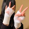 Guantes de Felpa de Media Dedos con Forma de Pata de Gato Lindos para Mujer 2026 Nuevo Estilo Otoño e Invierno, Forrados de Felpa, Engrosados, Protectores de Muñeca Cálidos, Compatibles con Pantalla Táctil para Escribir