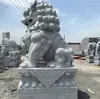 Leões de Pedra Azul, Guardiões do Templo, Leões Esculpidos em Pedra de Granito, um Par de Animais Colocado na Entrada, Feito Sob Medida pelo Fabricante