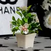 Plantas en Maceta de Plástico con Perlas Simuladas, Decoración Creativa para Plantas del Hogar, Plantas Verdes, Paisajes de Interior y Exterior, Adornos de Flores Artificiales en Maceta