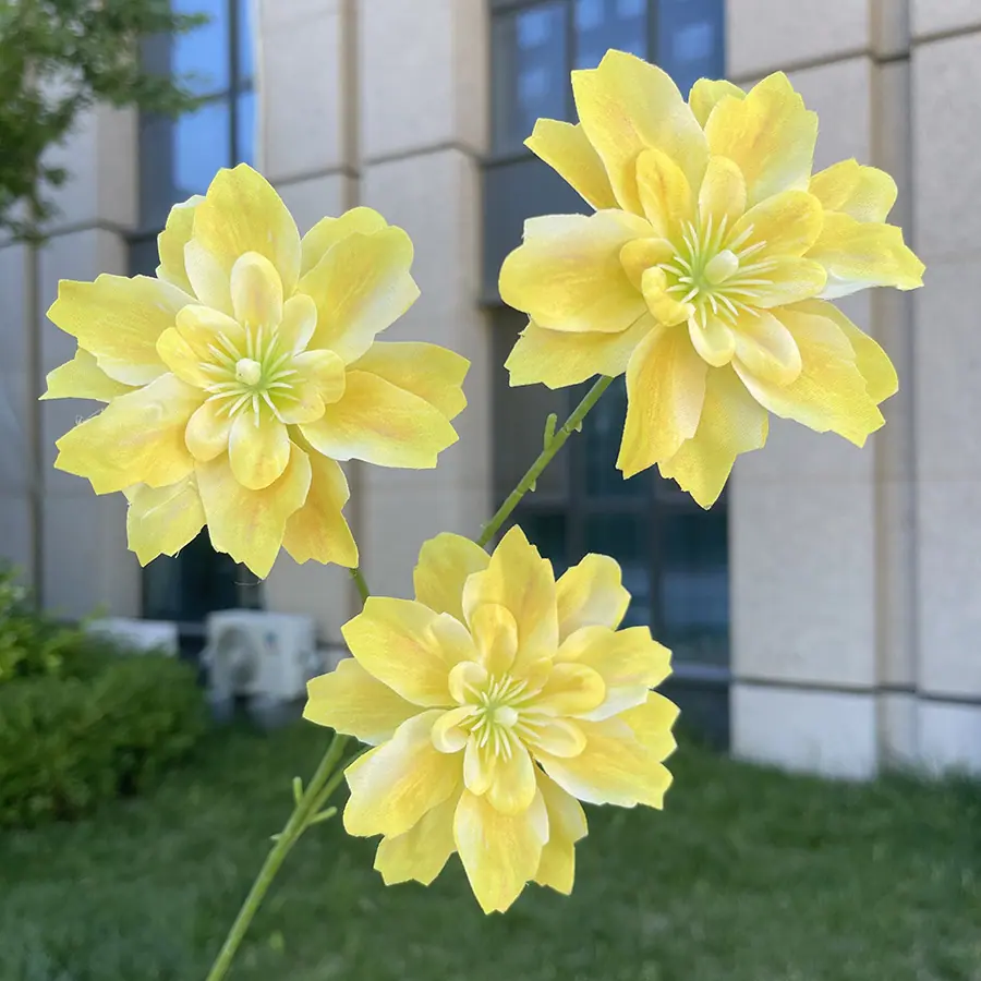 3头海棠花-黄色.JPG