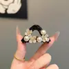 Novos Presilhas para a Parte de Trás da Cabeça, Mini Presilhas de Garra para Penteados de Princesa, Coleção Versátil de Acessórios de Cabelo da Moda Coreana 2026