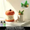 Pedra Difusora de Aroma Sem Chama Divertida e Criativa com Óleos Essenciais para Uso Doméstico no Quarto, Fragrância de Longa Duração, Pedra de Cristal de Alta Qualidade, Ornamento de Flores Secas