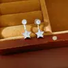 Pendientes Redondos de Estrella con Circonita de Aguja Plateada, Estilo Minimalista, Temperamento Único, Pendientes de Uso Diario, Lujo Ligero, Sensación de Alta Gama, Pendientes al por Mayor
