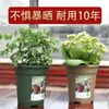 Maceta Universal de Segunda Generación tipo Flor de Galón Estilo Europeo Ecológica de Resina PP Maceta Grande para Flores y Plantas Verdes Maceta de Plástico Ampliada y Engrosada