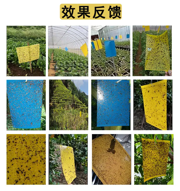 详情页新_05.jpg