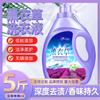 Fábrica mayorista de detergente para ropa con fragancia de lavanda, lote de 10 kg para el hogar para impulsar una generación de detergente para ropa.