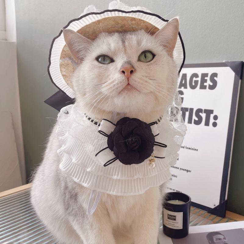 379736335fe76b65308daf722566e3