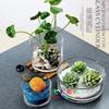 Vaso de vidro grande para flores, recipiente hidropônico, transparente, criativo, personalizado, planta de rosas verdes, multifuncional, vaso de cobre com grama para dinheiro, levantado na água