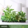 Paisagismo com Plantas Verdes Simulação Floreira Divisória de Piso Arte Floral de Chão Paisagem de Plantas Combinação de Floreira Flor Artificial em Vaso Bonsai Decoração