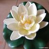 Simulación loto hoja de loto nenúfar loto falso accesorios de baile loto decoración de estanque flor de loto flor preservada acuario ofrenda templo budista