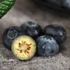 Meseta de Yunnan L25 Arándano Floral al por Mayor Arándanos Frescos Bayas de Arándano Floral Frutas Frescas de Temporada