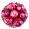 Cebollas de Piel Morada de Shandong Frescas 2.5 kg Frutas y Verduras para Comer Crudas, Cebollas Redondas Dulces, Productos de Temporada de la Granja para Comer Crudos