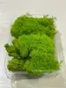 Musgo de Reno Preservado Flor Seca DIY Paisajismo Micro Paisaje, Botella Ecológica, Planta en Maceta de Vidrio, Cubierta de Suelo para Bonsái