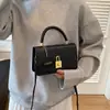 Bolso Trendy de Hombro Estilo Coreano para Mujer, Bolso de Mano de Moda Estilo Francés 2026 Nuevo de Nicho, Bolso Cuadrado Pequeño Elegante y Sencillo