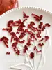 Accesorios para Uñas con Lazo Rojo Ankela Lazo de Cinta Suave Esculpido Borgoña Resina Pedrería Decoraciones para Uñas Al por Mayor