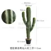 Cactus Grande cactus artificial planta de arena paisaje paisaje paisaje planta tropical cactus en maceta columna de cactus