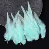 Venta Directa de Fábrica de Puntas de Plumas Blancas Cortas Materiales para Manualidades DIY Accesorios para Atrapasueños Juguetes para Mascotas Palo Atrapagatos Decoraciones