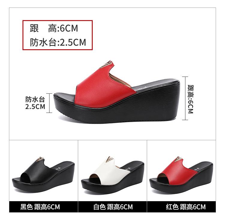 红_06.jpg