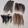 Venda Direta de Fábrica de Quase 100 Tipos de Acessórios Naturais de Penas Pequenas para Joias DIY, Acessórios de Cabeça, Broches, Chapéus, Materiais de Decoração para Artesanato