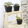 Vaso Quadrado Especial para Suculentas de Varanda, Flor de Sedum, Plástico Espesso, Vasos Pequenos Quadrados Pretos para Flores Suculentas