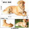 Modelos de Animales Realistas: Doberman, Golden Retriever, Perro de Peluche, Husky, Collie - Adornos para Coche y Juguetes para Niños