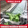 Equipamento de Limpeza de Vegetais, Máquina de Limpeza de Pimenta, Equipamento de Limpeza e Pulverização de Sacolas de Embalagem, Máquina de Limpeza de Frutas e Vegetais