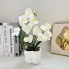 Estilo Escandinavo Cuadrado Orquídea Maceta Adornos Entrada del Hogar Balcón Paisaje Película Artificial Planta Verde Pequeño Bonsái