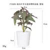 Más de 100 Tipos de Flores Artificiales y Plantas Verdes, Combinaciones de Plantas Artificiales en Maceta de Plástico, Flores Artificiales de Venta Caliente Transfronteriza, Mini Bonsáis Artificiales, Fuentes de Suministro