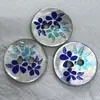 Botones Vintage de Concha de Nácar Pura Natural para Manualidades, Camisas, Suéteres, Cárdigans, Vestidos y Decoración de Ropa