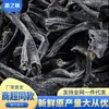 Puntas de Algas Secas Fujian Xiapu, Raíces de Algas Gruesas y Suaves, Tallos de Algas Extra Gruesos, Nuevas Tiras de Algas para Uso Comercial