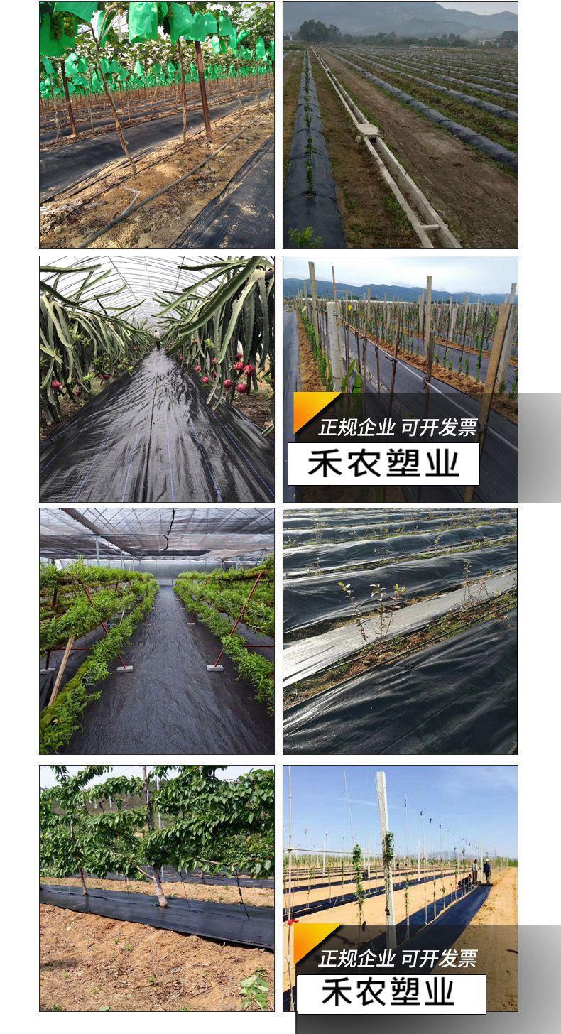 微信图片_20230412212711_副本
