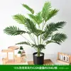 Planta Verde Artificial Decorativa em Vaso Folha Persa Flor de Plástico Casa Interior Grama Falsa Verde Planta Decorativa Bonsai