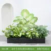 [Serie X80] Maceta Combinación Plantas Verdes Macetero Caja de Flores Flor Artificial Decoración Floral Planta Artificial Decoración de Paisaje Interior y Exterior