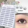 Pestañas Coreanas Cat 10 Filas Sin Pegamento y Extraíbles Transparentes Pequeñas Ballet Pestañas Postizas Naturales Racimos Individuales Segmentadas Persona Perezosa Fotogénica Cómico