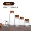 Botellas de Vidrio Vacías Tapadas con Corcho de 30 mm, Botellas Pequeñas, Botellas para Reactivos, Botellas Dispensadoras, Vidrio Blanco de Alta Calidad al por Mayor