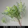 Plantas Verdes, Hierba de Junco, Hierba Bigote de Dragón, Fondo de Boda, Paisajismo de Ventana Floral, Flores Decorativas para Boda en Bosque Blanco y Verde