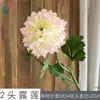 Lótus de Duas Cabeças, Peônia Pérola, Conjunto de Teto para Cena de Casamento, Flores Artificiais, Flores Falsas para Exibição em Hotel, Restaurante, Estrada
