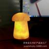 Lámpara de sal cristalina del Himalaya usb hongo cambio de color colorido led blanco cálido lámpara de sal mineral luz nocturna Venta al por mayor