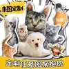 Almohada de Gato Feo Personalizable con Impresión de Foto, Almohada Anime de Mascota con Forma Personalizada, Almohada Suave de Regalo al Por Mayor