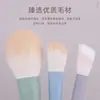 Nuevo Set de 10 Brochas de Maquillaje Portátiles Mini Serie de Colores Morandi para Polvo Suelto, Contouring y Base Mini Brocha Cangzhou
